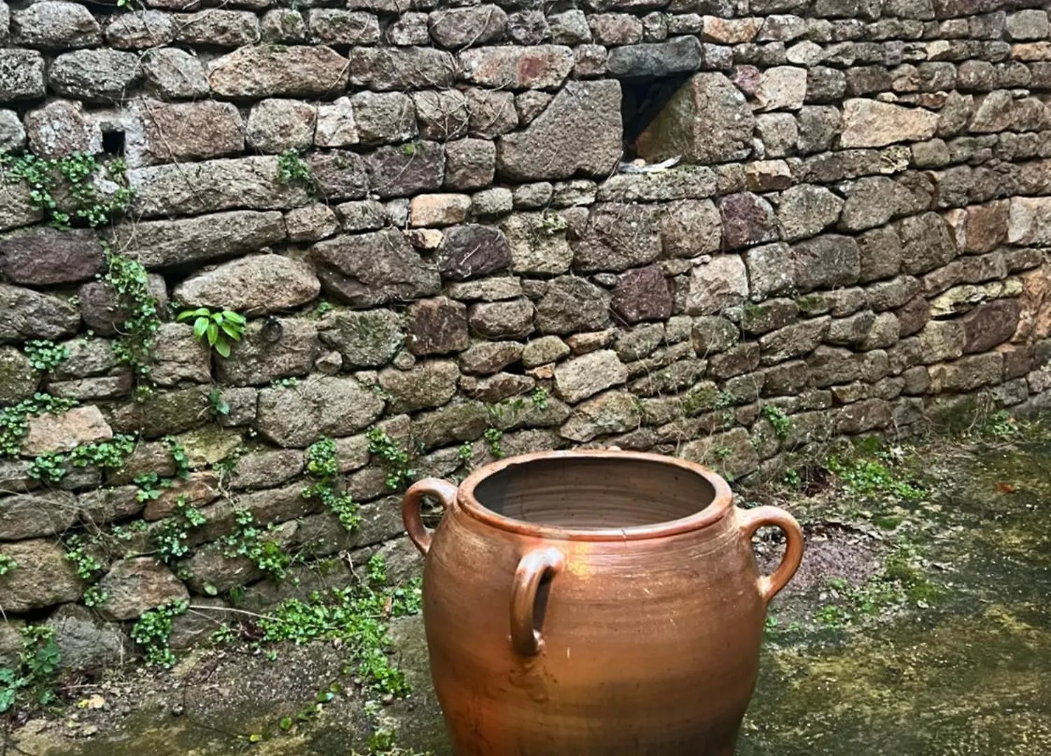 Charmant Logis A Becherel Entre Saint-Malo Et Rennes